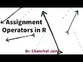 Assignment Operators in R