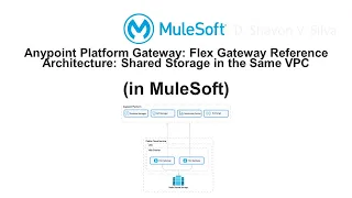 Mule SDK Java SDK how to use POJOs and Parameter Groups in MuleSoft