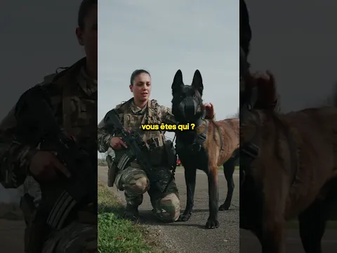 Ce chien militaire d'attaque est incroyable !! 😱