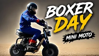 Corrida de mini moto - Boxer Day 2026
