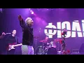 fioletfamily - Все чесно (#фіолету10)