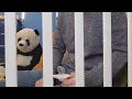 Adult Diaper Storytime The Crinkle of Deception Forced to live as a baby