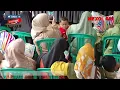 Download Lagu MIMPI BURUK USI \u0026 OCHA DANGDUT KOPLO BARAYA ENTERTAIMENT  From SUDIMAMPIR || MEXON7377 RPJ