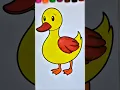 How to colour a duck