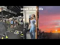 week in the life as a college student at hofstra university