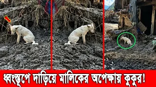 নেপালে বন্যায় ভেসে গেছে সবকিছু! ১ সপ্তাহ ধরে নিখোঁজ মালিকের খোঁজে ধ্বংসস্তূপে কাঁদছে কুকুর! Nepal