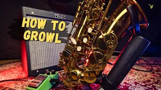 Download How to Growl on Saxophone (Natural Distortion Pedal) MP3