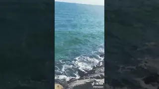 مجروح جرح عمق لبحر ومين ياقلب يداويك لغربة ما إلها دواى دندنها