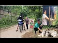 Download Lagu The husband took a second wife to have a son, the single mother was helped by a kind man, 