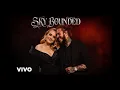 Post Malone ft Adele - SKY BOUNDED