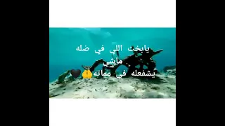 نفسي اشوفك في المنام يا رسول الله ابداع في انشودة محمد نبينا 