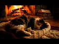Cozy Winter Night near Fireplace with Purring Cat for Deep Sleep and Relax