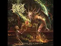 Rot From Within - A Night In Texas