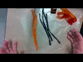 Mitosis Candy Lab