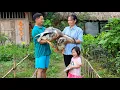 An's Heartwarming Joy When Her Husband Gifted Geese – A True Symbol of Love | Ly Phuc An