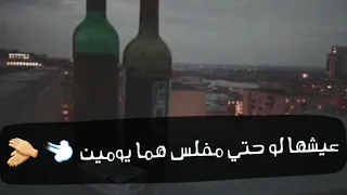 هلس تقريبا  السلك لمس   دندنها
