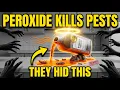20 Hydrogen Peroxide Hacks That Kill Roaches Ants Mice The 1 Bottle Exterminators Hide