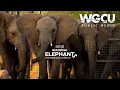 May 2026 New This Month PBS Passport