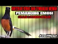 KRETEKAN DAN TEMBAKAN KERAS MURAI BATU ISIAN CILILIN KENARI LOVEBIRD
