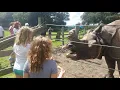 Carson springs Wildlife Conservation