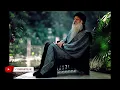 Music From The World Of Osho - Open Window