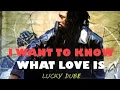 Lagu I Want To Know What Love Is by Lucky Dube