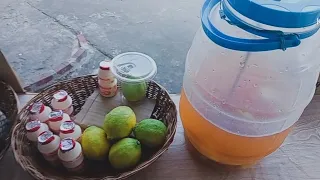 Lemonade On The Rocks 