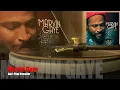 Marvin Gaye / Ain't That Peculiar [Vinyl Source]