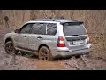 Download Lagu SUBARU FORESTER is 'a real 4wds' in mud. Off-Road.