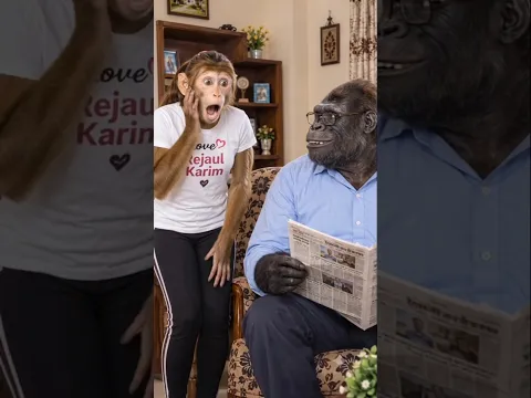#funnyvideo #whowillbemylifepartnerta #comedy #funny #hindicomedy #monkey #ekmotahathighumechala