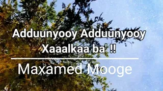 Maxamed Mooge Heesta Adduunyoy Xaalkaa Ba Lyrics 