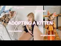 ADOPTING A KITTEN Amazon haul bengal kitten bringing him home