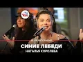 Lagu Наташа Королёва - Синие Лебеди (LIVE @ Авторадио)
