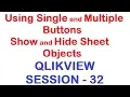 Using Single and Multiple Buttons - Show and Hide Sheet Objects