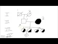 Genetics - How to Draw a Pedigree Family Tree