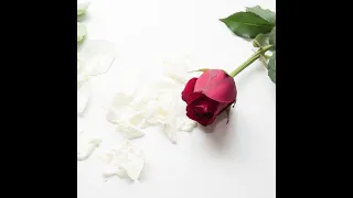 You Re In My Heart Rod Stewart 70s Love Songs 