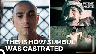 Sumbul’s Tragic Story You Never Knew About... | Magnificent Century