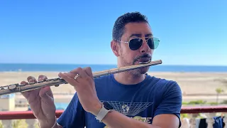 موسيقى تصويرية فيلم الرجل الثالث بآلة الفلوت الموسيقية دندنها