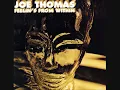 Joe Thomas - Polarizer