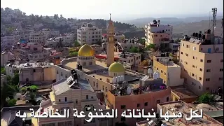 شرح مظاهر التنوع الحيوي في فلسطين للصف العاشر الفصل الاول دندنها
