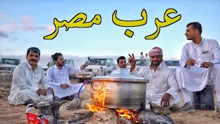 حياة البدو العرب في صحراء مصر جمل بمليون جنية 