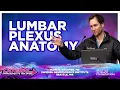 Lumbar Plexus Anatomy - Mark R Kraemer M D