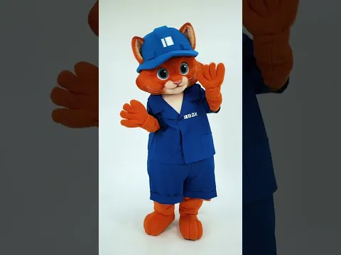 Bright and practical — a cat mascot for the construction company “VDK” 🐈 #mascotcostume