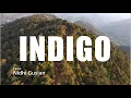 Lagu Raavi - Indigo - Official Music Video Feat. Nidhi Gusian