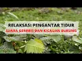 Download Lagu RELAKSASI SUARA ALAM; GERIMIS DAN KICAUAN BURUNG