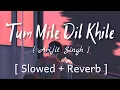 Download Lagu Tum Mile Dil Khile - [ Slowed + Reverb ] , - Arijit Singh