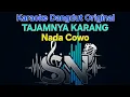 Download Lagu tajamnya karang karaoke - mansyur s (nada pria/cowok)