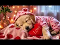 Valentine's Day Dog Calming Music 💖 Anti Separation Anxiety & Deep Sleep 🐶 Relax My Dog 12 Hours