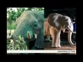 Kalahari with Couponing Deal