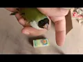 Download Lagu Exotic and Zebra Finches common disease | Gouldian finch common bimari aur ilaj